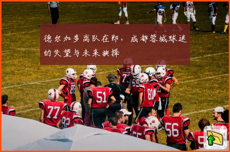 德尔加多离队在即，成都蓉城球迷的失望与未来抉择