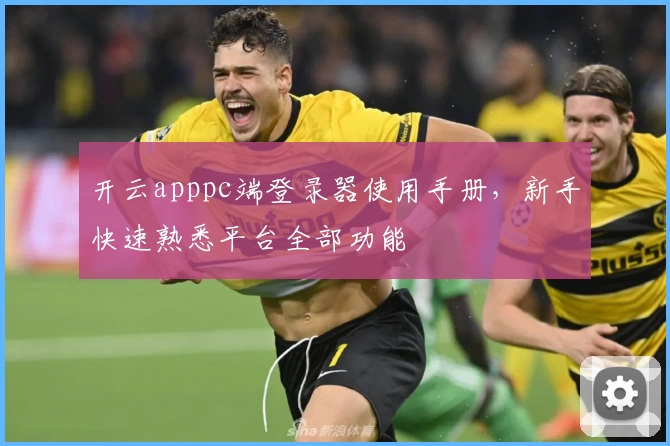 开云apppc端登录器使用手册，新手快速熟悉平台全部功能